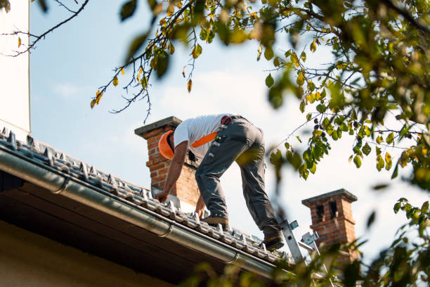 Best Roof Leak Repair  in Swartzville, PA